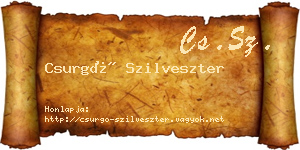 Csurgó Szilveszter névjegykártya
